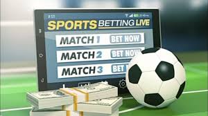 Discover the Exciting World of Betting with walya bet Discover the Exciting World of Betting with walya bet