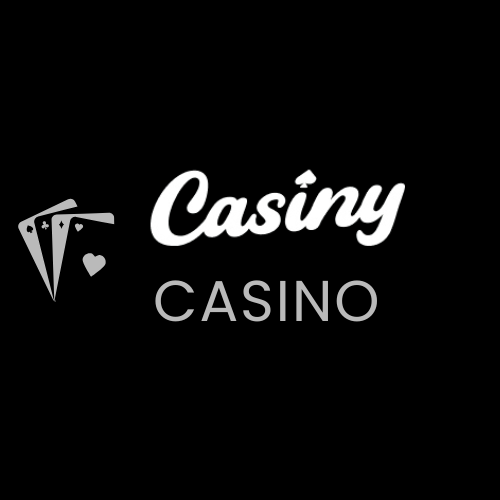Exploring the Exciting World of Casiny1 4