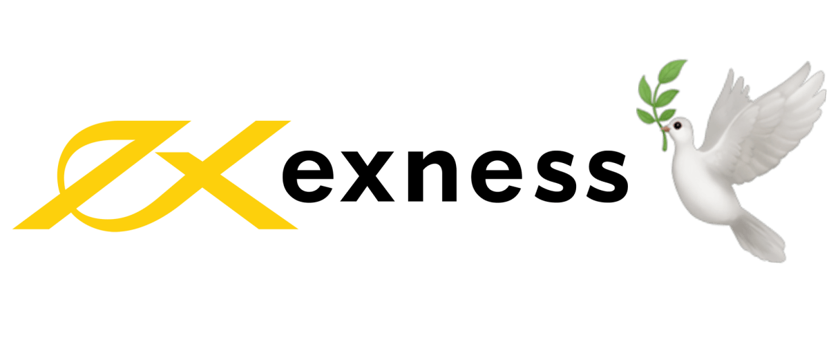Exploring the Live Exness Platform Trading Opportunities and Innovations