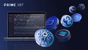 Get to Know the Contacts PrimeXBT Your Gateway to Efficient Trading