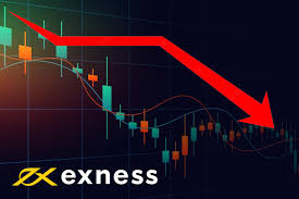 Learn Everything About Real Exness Trading Account